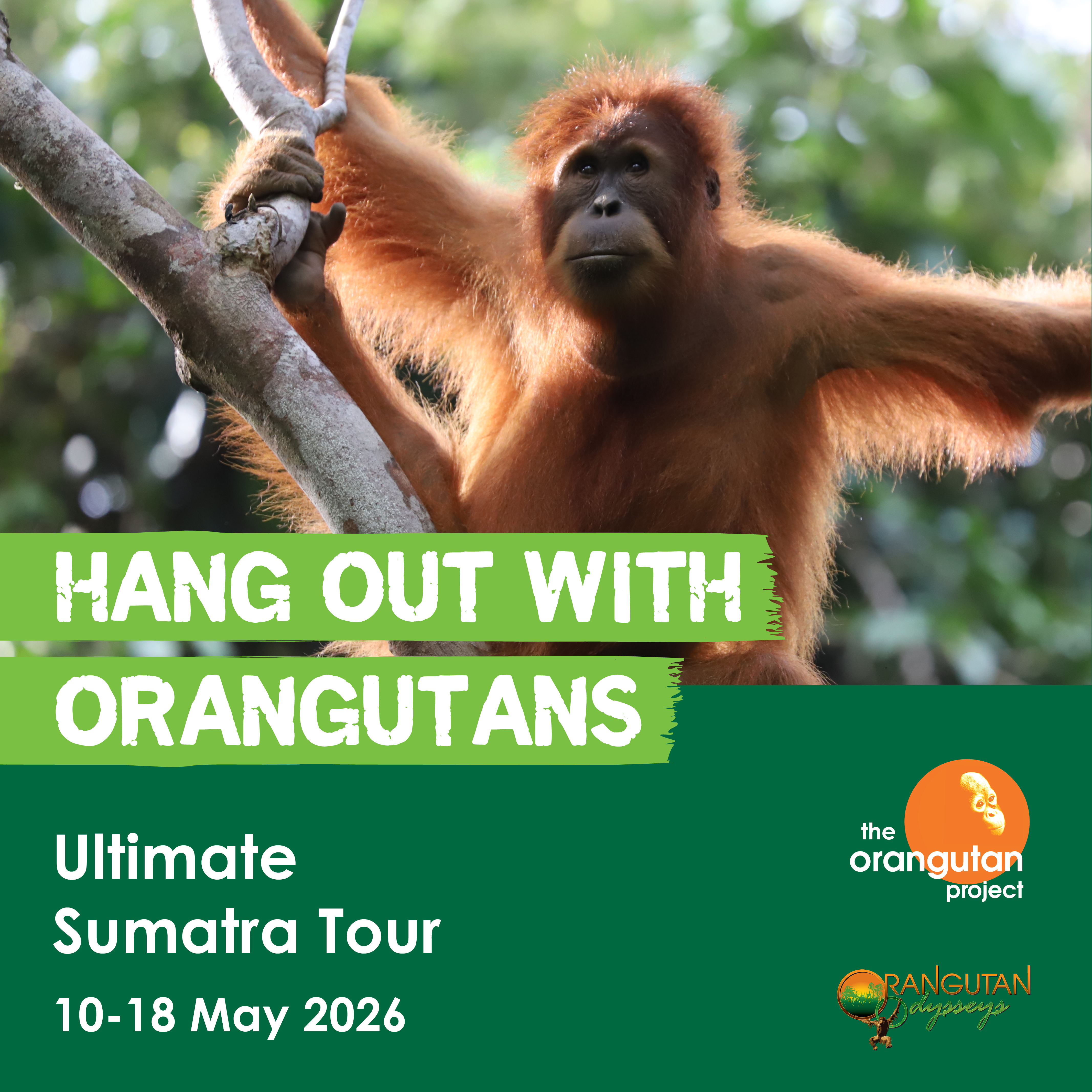 SUMATRA TOUR | 10-18 MAY 2026